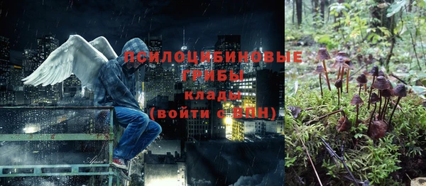 PSILOCYBIN Белоозёрский