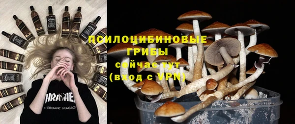 PSILOCYBIN Белоозёрский