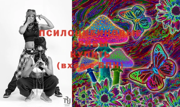 PSILOCYBIN Белоозёрский