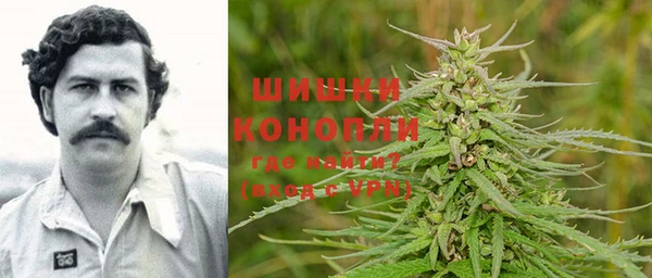 метадон Белокуриха