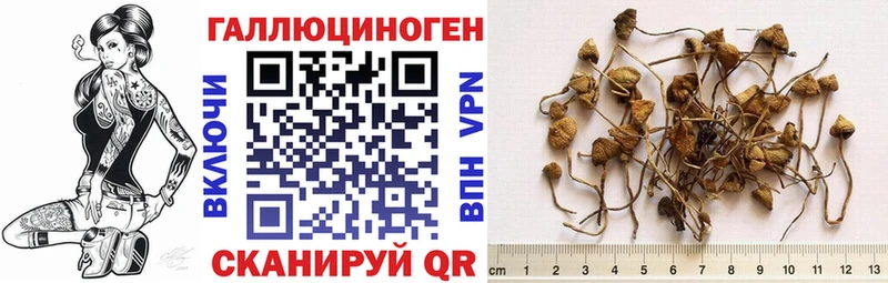 Псилоцибиновые грибы мухоморы  где можно купить наркотик  Балаково 
